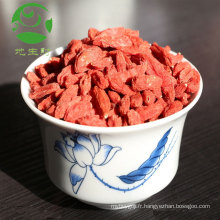 Néflier chinois 280 grains baies de goji bio séchées